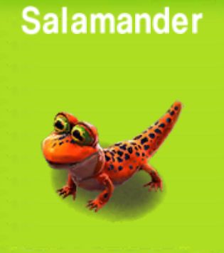 Salamander        